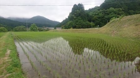 自然がいっぱい、津山市阿波地区の米で酒造り！