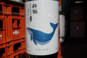 酔鯨 特別純米酒 しぼりたて生酒