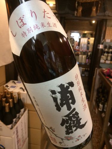 ☆限定酒、入荷！宮城県「浦霞」しぼりたて特別純米生酒☆