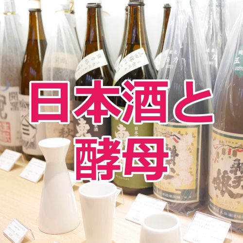 【５月２３日２０時】神奈川建一の日本酒勉強会on YouTube・酵母について知ろう