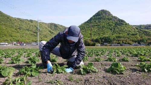 酒蔵～じゃがいも日記～